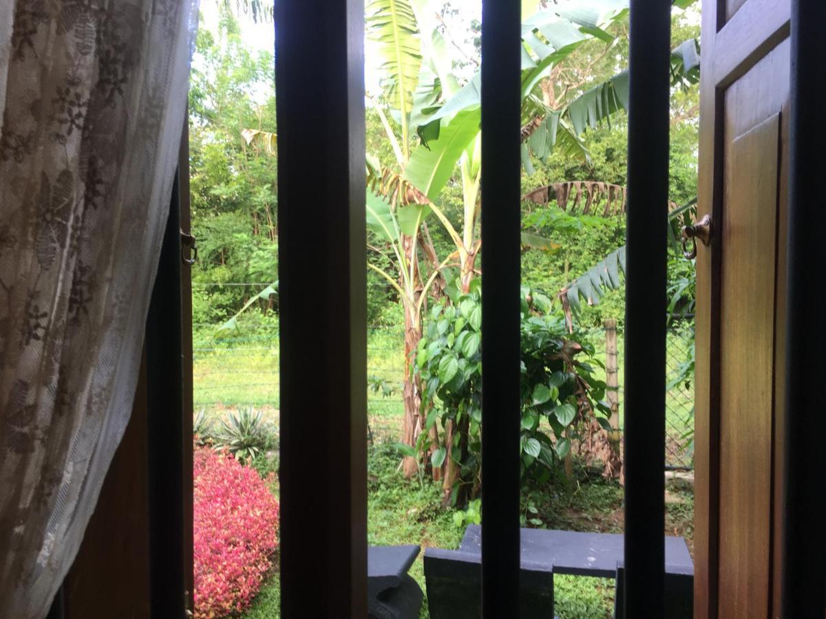 Owls Nest Hotel อุดาวาลาเว ภายนอก รูปภาพ