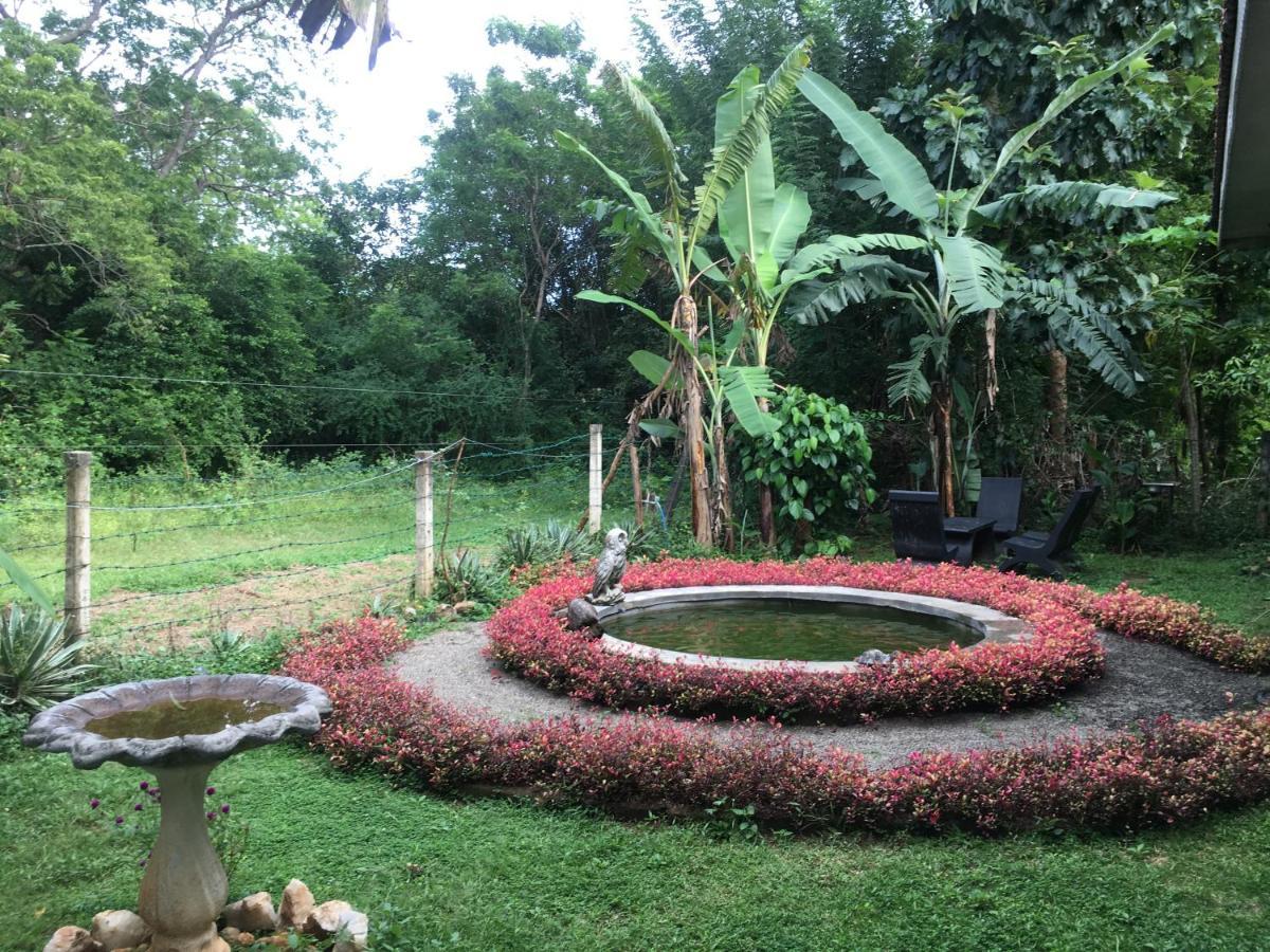 Owls Nest Hotel อุดาวาลาเว ภายนอก รูปภาพ