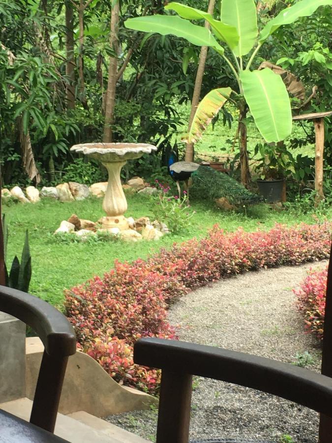 Owls Nest Hotel อุดาวาลาเว ภายนอก รูปภาพ