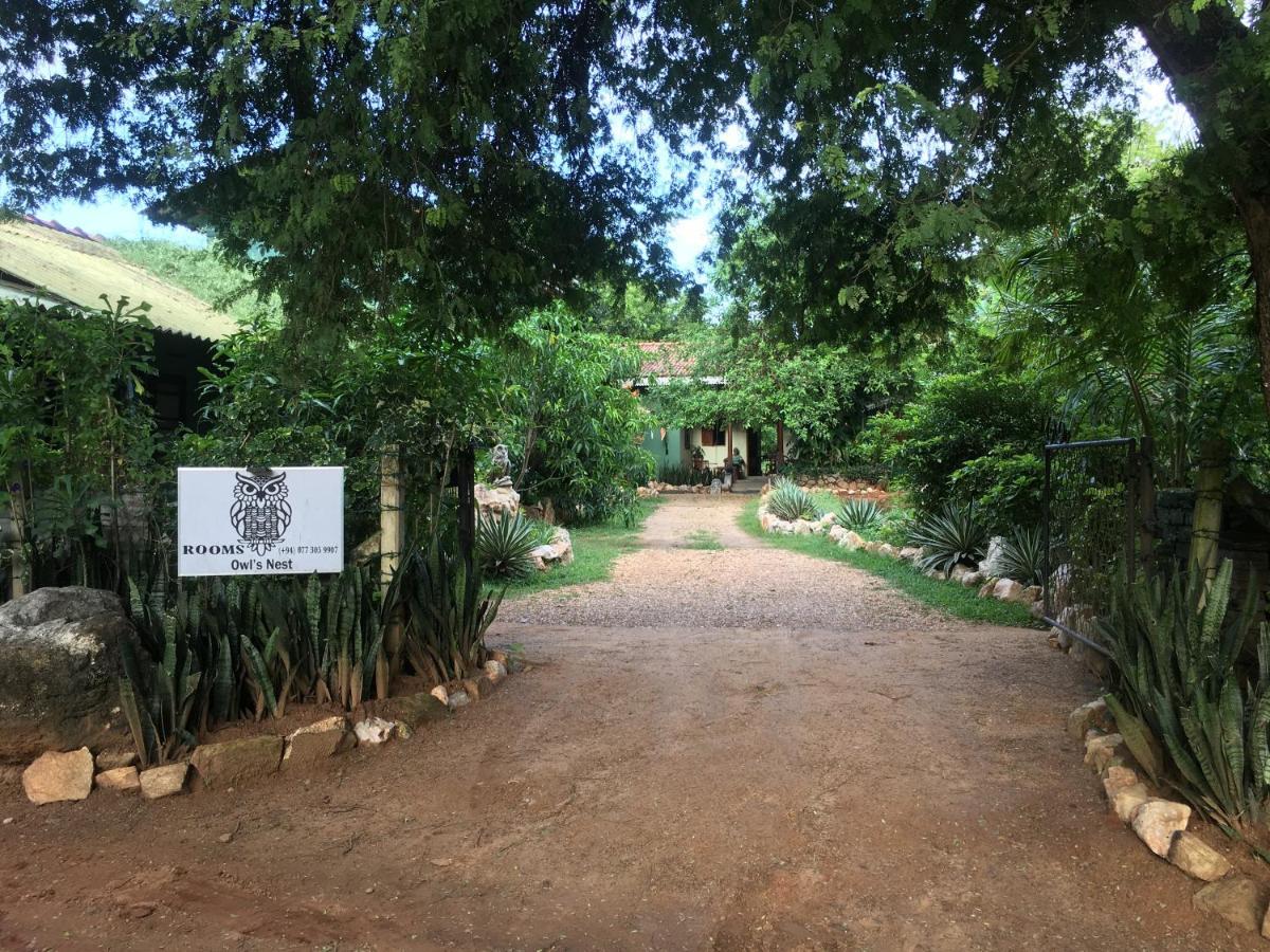 Owls Nest Hotel อุดาวาลาเว ภายนอก รูปภาพ