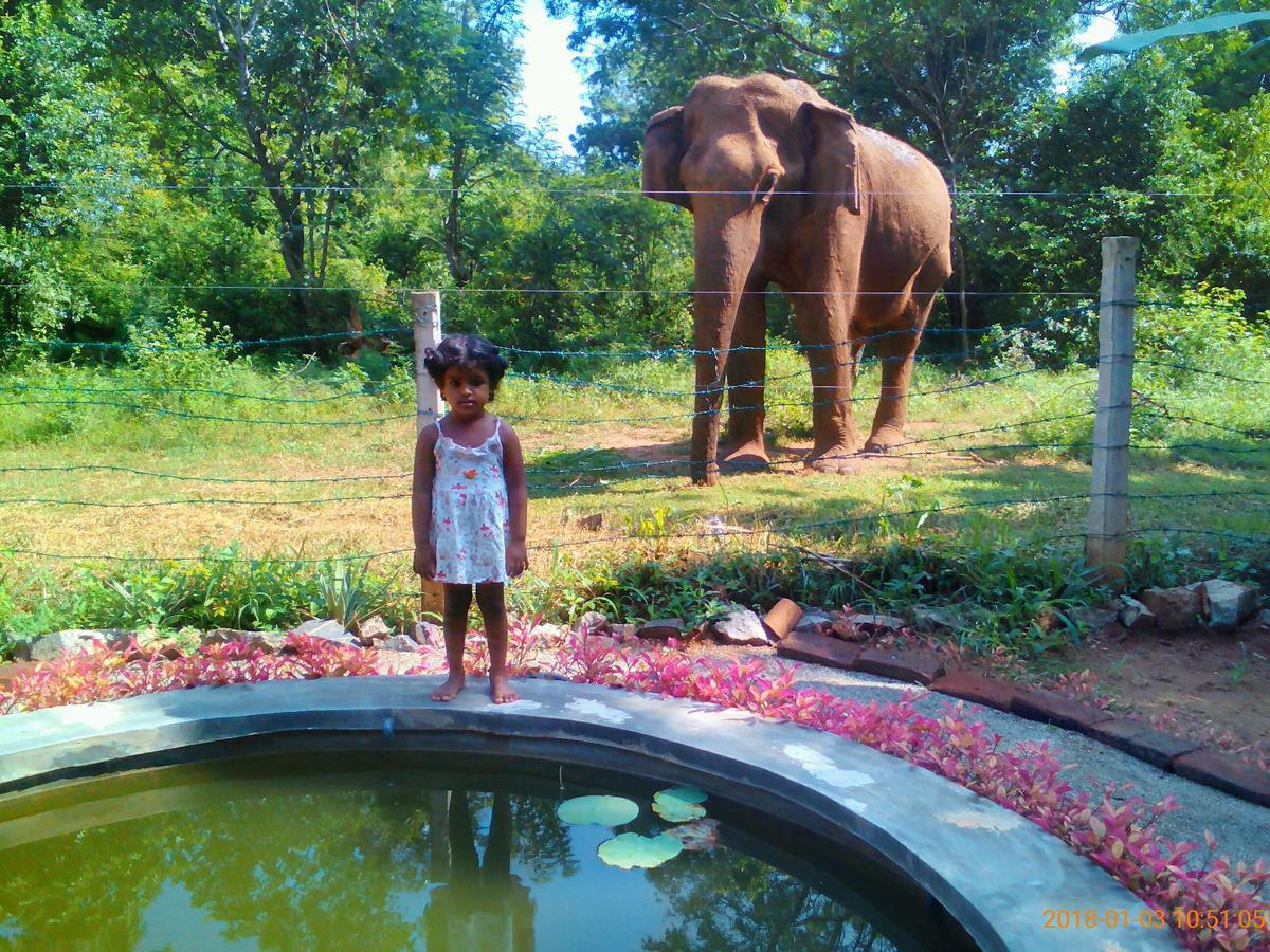 Owls Nest Hotel อุดาวาลาเว ภายนอก รูปภาพ