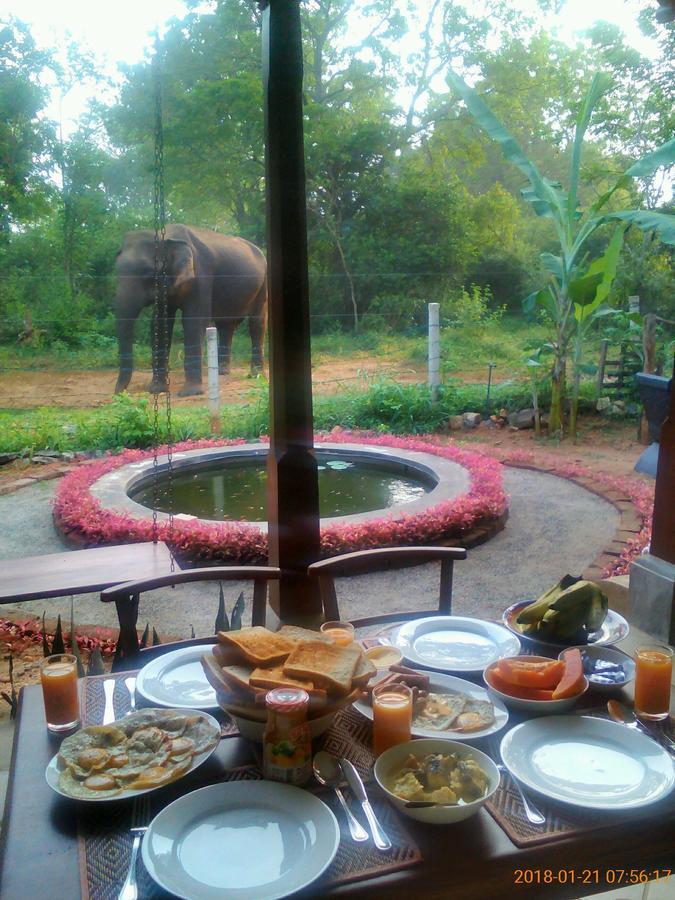 Owls Nest Hotel อุดาวาลาเว ภายนอก รูปภาพ
